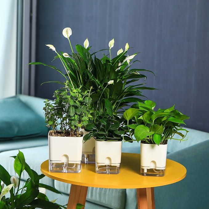 Planterhoma Self Watering Plant Pots - Image 4