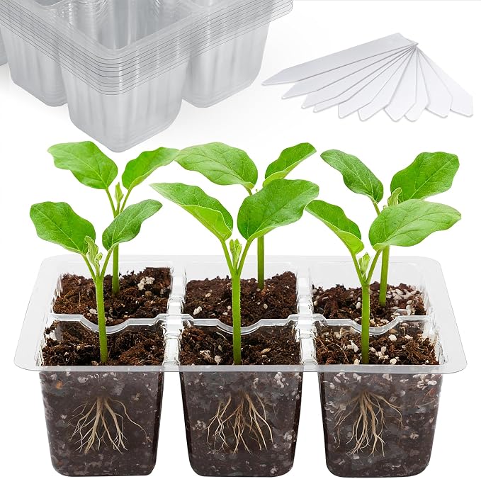 Bonviee 10 Packs Seed Starter Tray by BonvieeDirect