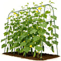 Cucumber Trellis for Climbing Plants Outdoors, U-Shape Garden Trellis for by Tegarbed