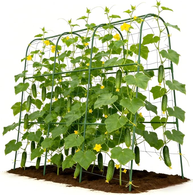 Cucumber Trellis for Climbing Plants Outdoors, U-Shape Garden Trellis for by Tegarbed