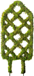 SuperMoss Plant Trellis by SuperMoss