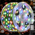 WATERGLIDE Extra Long 328 FT Fairy String Lights, 1000 LED Outdoor Green Wire by WATERGLIDE