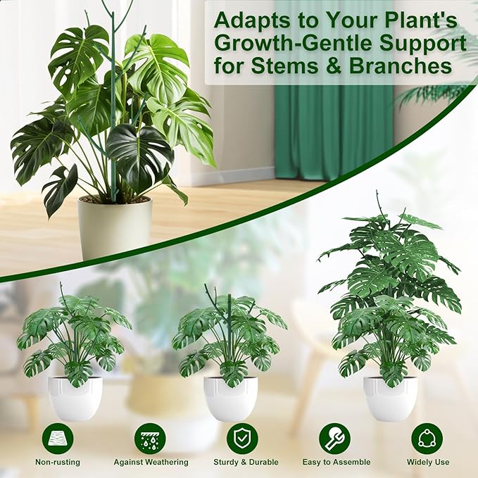 5 Pack Stackable Monstera Plant Support Stakes - Image 3