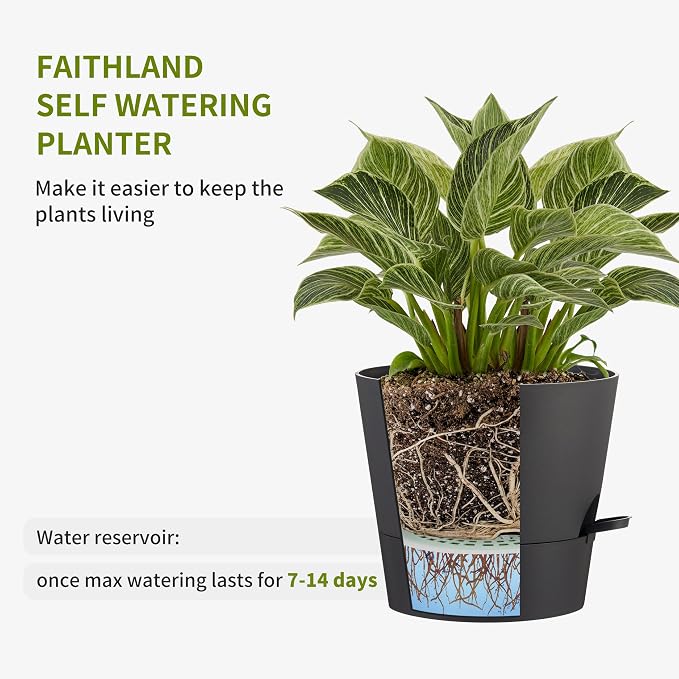 FaithLand 2-Pack 8 Inch Planter Pots - Image 3