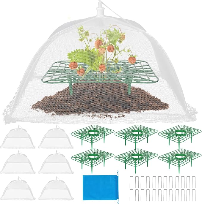 6 Sets Strawberry Plant Supports by NODMIPNS