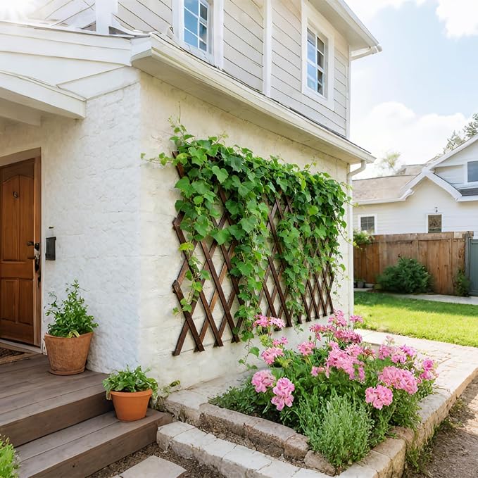Expandable Garden Trellis - Image 5