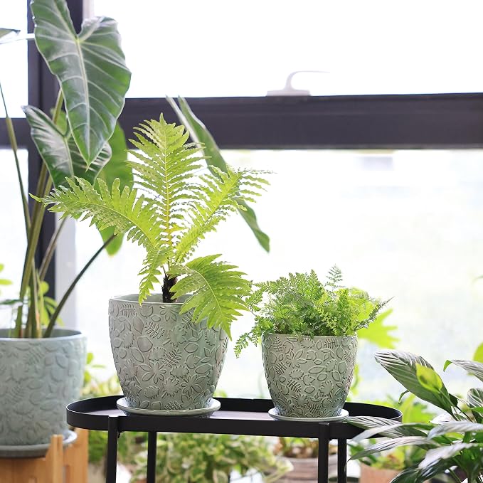 8 Inch + 6 Inch Plant Pots for Indoor Plants, Ceramic Planter - Image 7