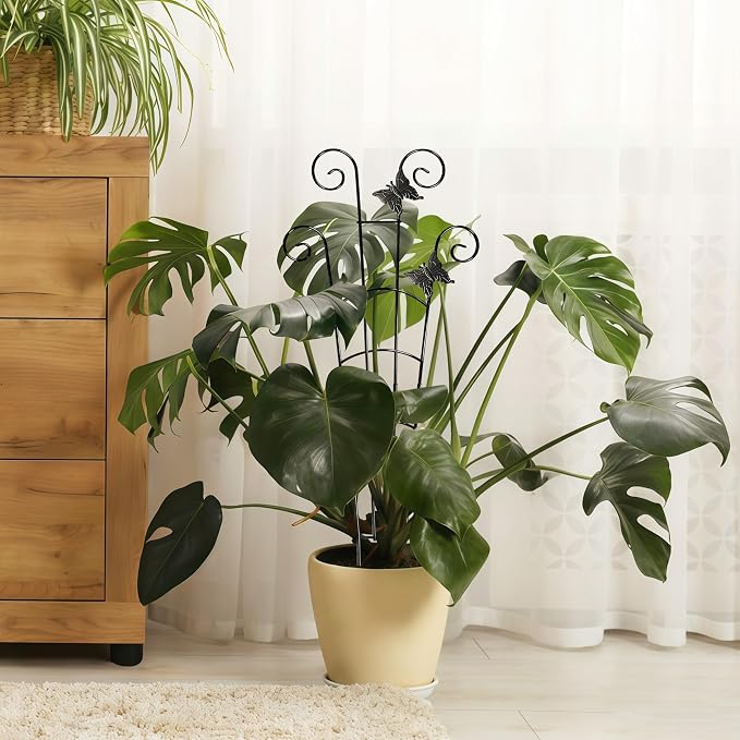 30'' Larger Plant Trellis Indoor, Expandable Metal Trellis - Image 8