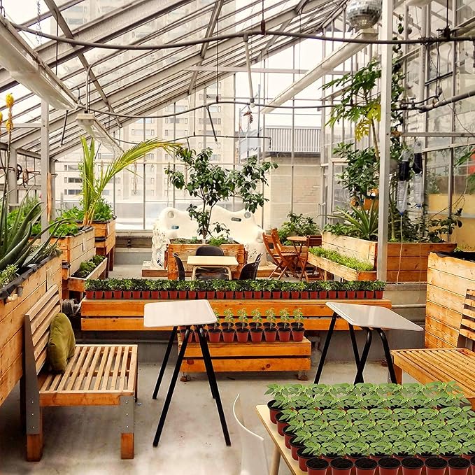 MIXC Plant Nursery Pots with Humidity Dome 4" Soft Transparent Plastic - Image 7