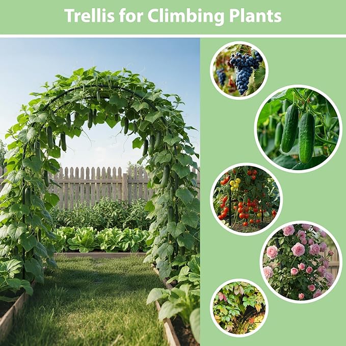 RUBFAC 94" Garden Arch Trellis for Climbing Plants Outdoor, Metal Arch Frame - Image 4