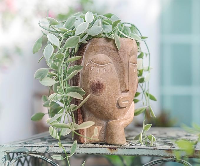 Head Planters for Indoor Plants, Face Flower Pot Head Planter Succulent - Image 6
