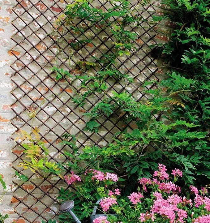 Nature Willow Trellis Expandable Plant Support Plant Climbing Lattices Trellis - Image 4