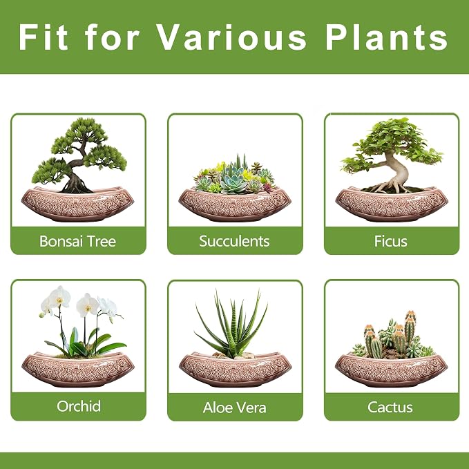 Large Bonsai Pots - Image 7