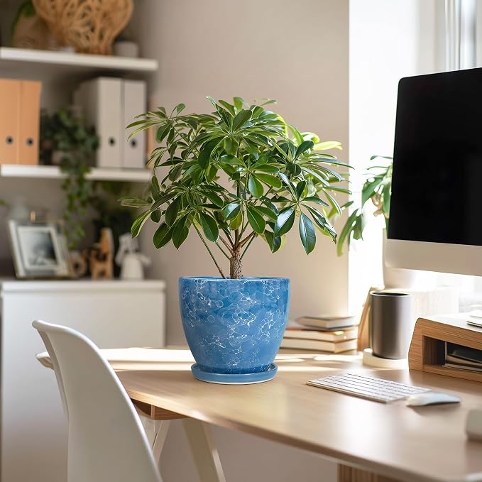 6 Inch Ceramic Plant Pot - Image 5