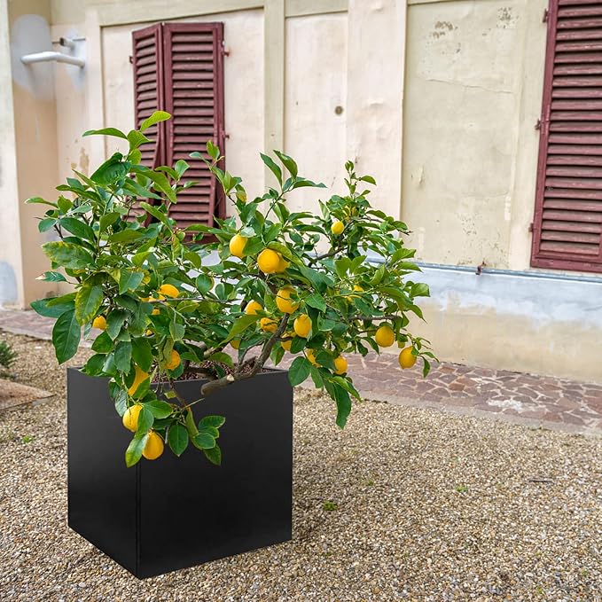 Galvanized Steel Planter Box Black Metal Planter 20Inch Large Square Indoor - Image 5