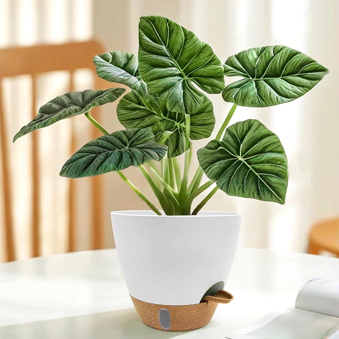 12/10/9/8 inch Self Watering Pots - Image 6