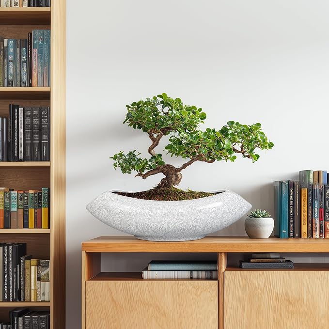 Ceramic Bonsai Tree Pot - Image 4