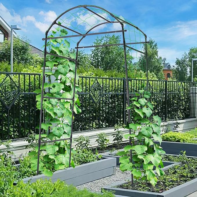 Cucumber Trellis, 6.7ft Tall Garden Arch Trellis - Image 2