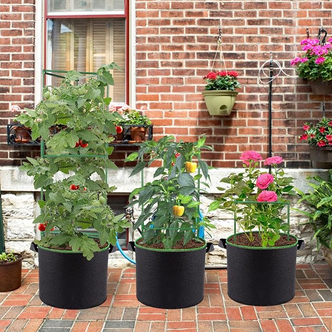 ANPHSIN 3 Sets Tomato Cages - Image 5