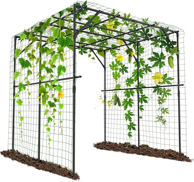 Tall Garden Arch Trellis for Climbing Plants, 79in Tall Metal Plant Support by UrGROWA