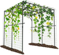 Tall Garden Arch Trellis for Climbing Plants, 79in Tall Metal Plant Support by UrGROWA