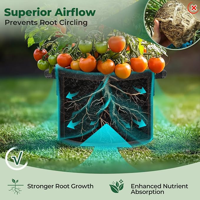 T4U Fabric Plant Grow Bags - Image 5