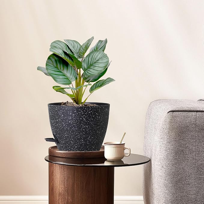 10 inch Self Watering Pots, Plant Pots - Image 2