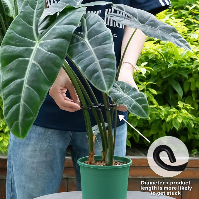 Monstera Plant Support Hook - Image 4