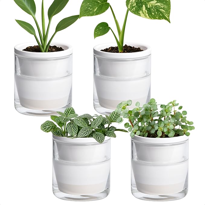 D'vine Dev 4 Inch Design Self Watering Planter by DvineDevPlanterPotsandStand