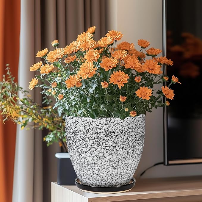 Ceraimc Plant Pot - Image 2