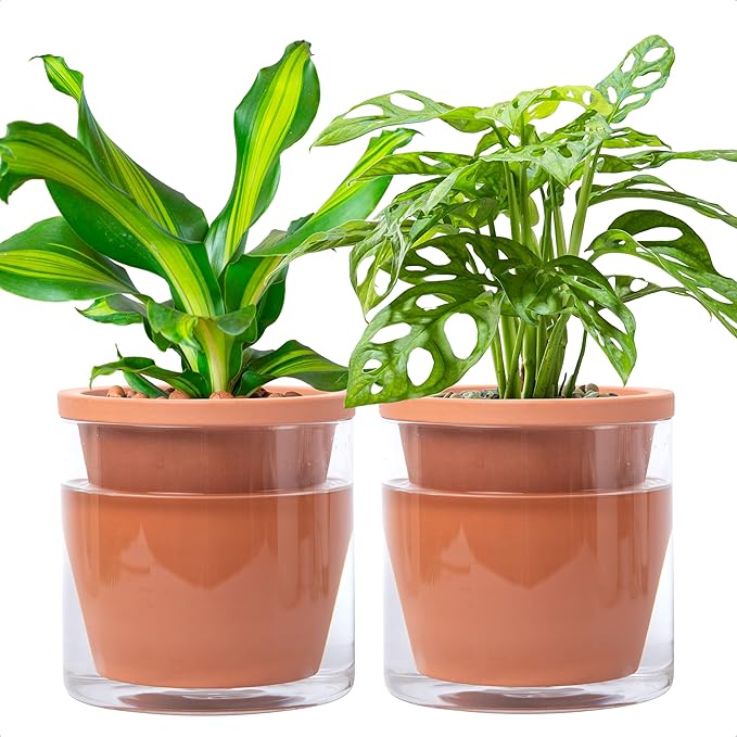 D'vine Dev 6 Inch Design Self Watering Pot by DvineDevPlanterPotsandStand