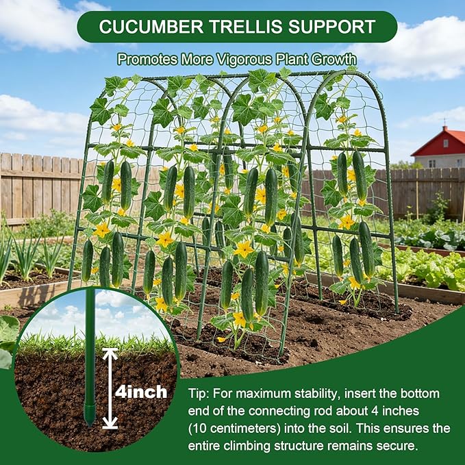 Cucumber Trellis for Raised Bed - Image 4