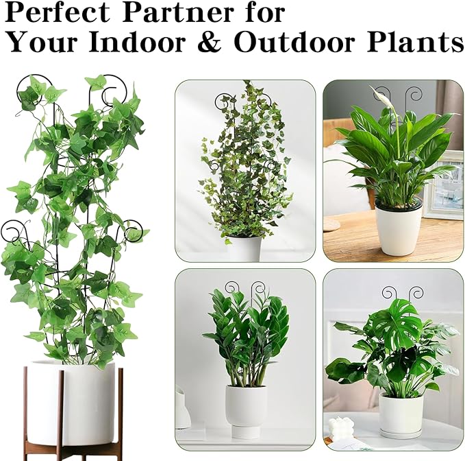 ZOUTOG Trellis for Climbing Plants Indoor 4 Pack 30 Inch, Rustproof Metal - Image 8