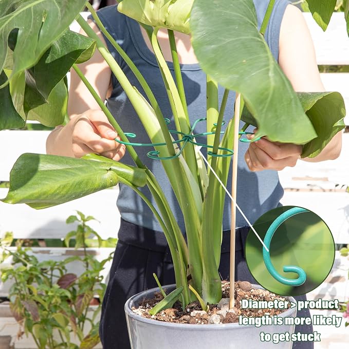 Monstera Plant Stem Support 5 Pcs - Image 5