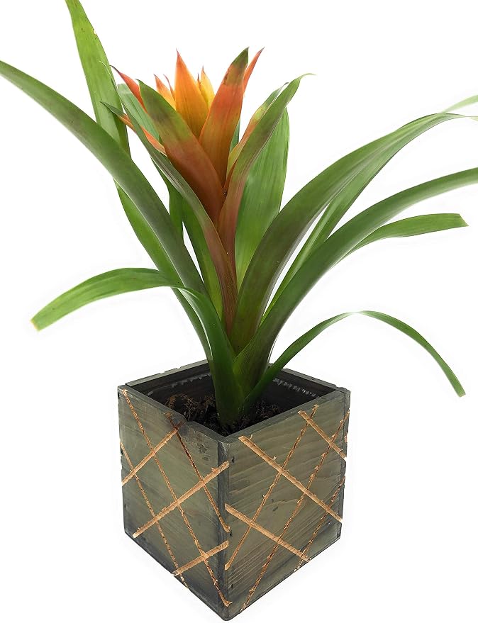Wood Planter Box with Diamond Cross Hatch Style, 5 Inch Square, Rustic Barn Wood - Image 4