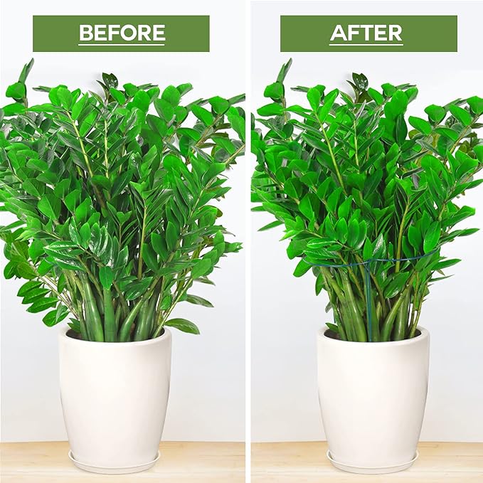 LEOBRO 6 Pack Plant Support Plant Stakes, Metal Peony Support, Garden Plant - Image 5