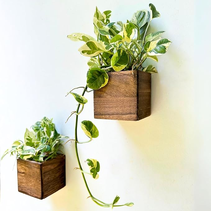 LaLaGreen Wood Planter Box for Plants Small Square Wall Planters for Indoor by L%C3%A1L%C3%A1Green