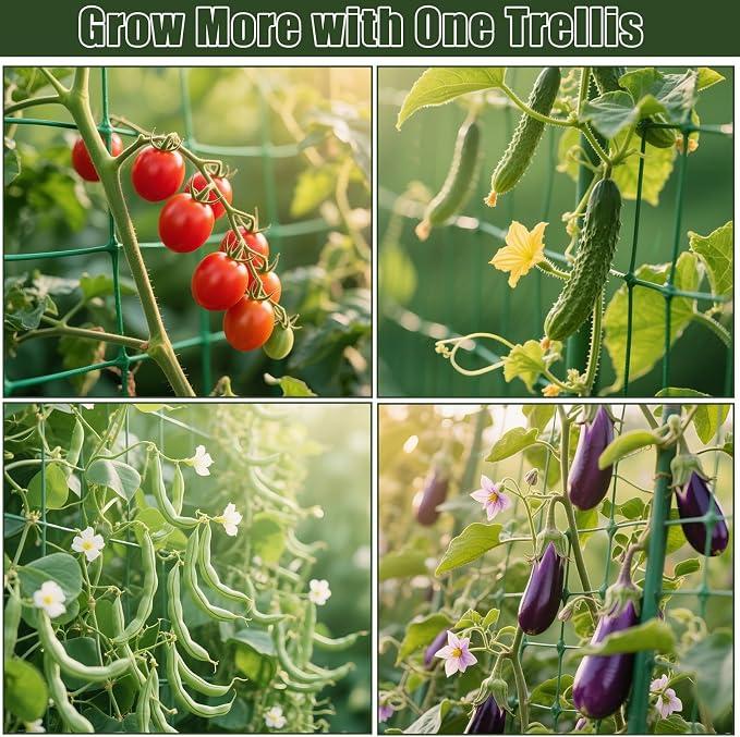 Miory Cucumber Trellis for Raised Beds, 48 x 63 Inch Metal U-Frame Garden - Image 8