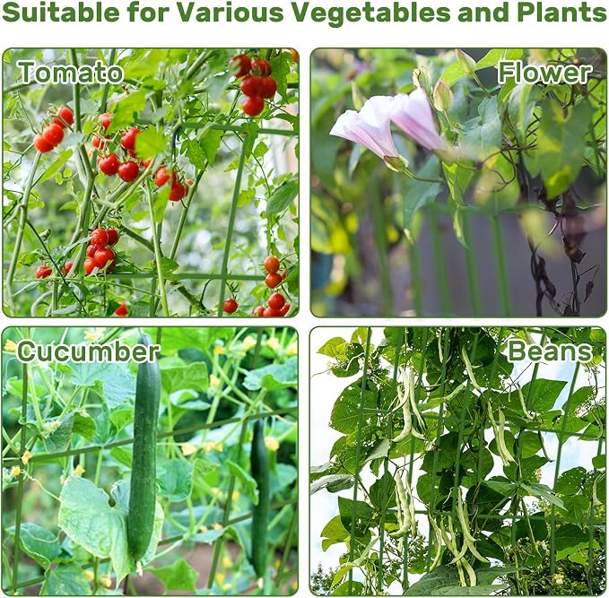 DOEWORKS Cucumber Trellis, 2 Pack, Plant Support - Image 7