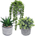 Winlyn 3 Pcs Small Potted Succulents Plants Artificial String of Pearls Aloe by Winlyn