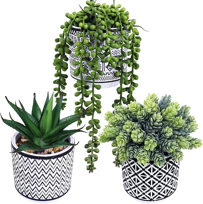 Winlyn 3 Pcs Small Potted Succulents Plants Artificial String of Pearls Aloe by Winlyn