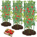 3 Pack Tomato Cage, Tomato Cage by MQHUAYU