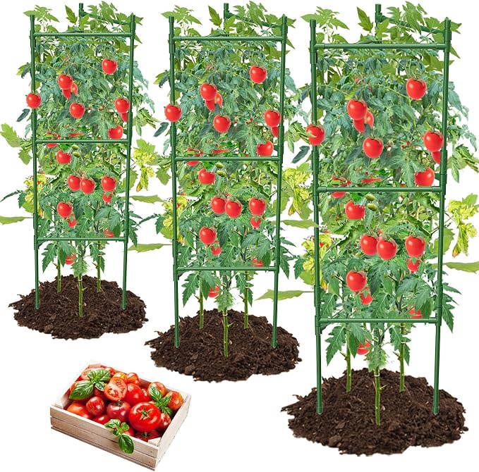 3 Pack Tomato Cage, Tomato Cage by MQHUAYU