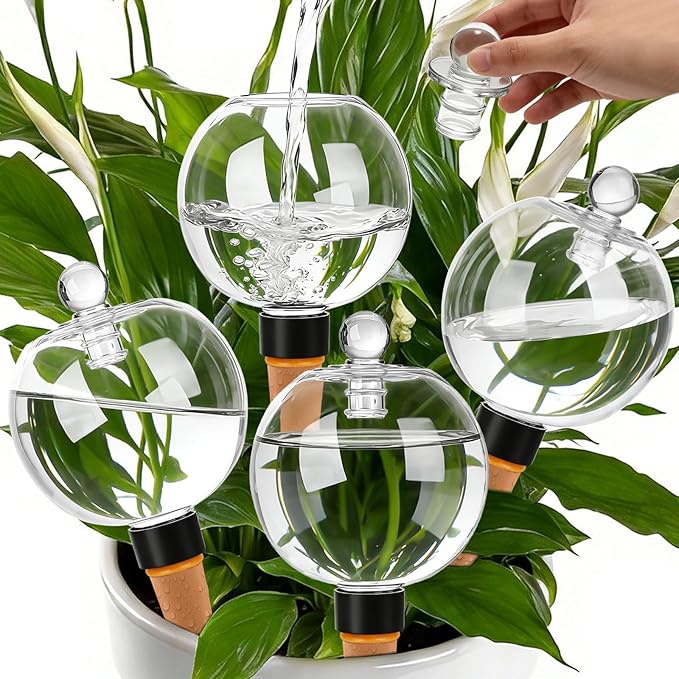 4 Pack 17.5 oz Plant Watering Globes by TINSKY