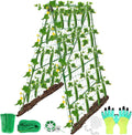 32 x 53 Inch Cucumber Trellis for Climbing Plants Outdoor A-Frame Garden by LifeisLuck