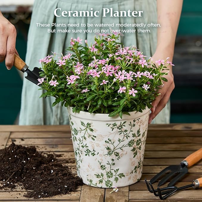 Ceramic Planter with Drainage Hole, Plastic Tray & Mesh, 6.7 Inch - Image 2