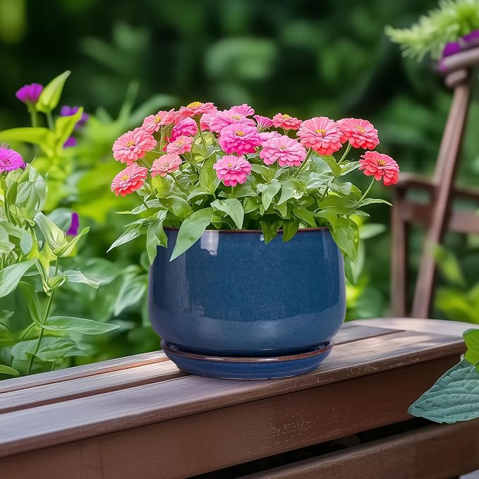 G EPGardening Ceramic Planter 6 Inch - Image 4