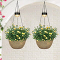 2 Packs Hanging Planters Basket by SUNNYPARK
