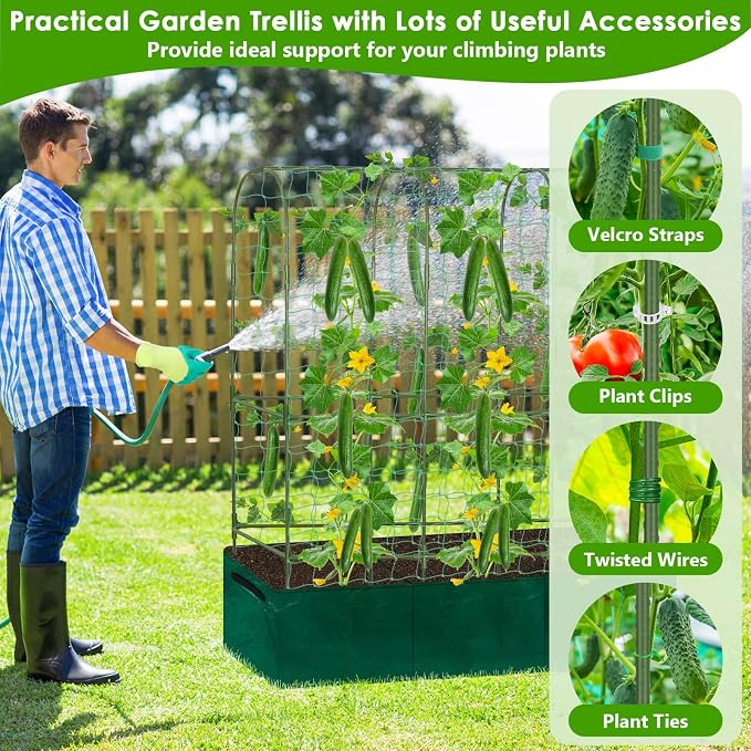 Cucumber Trellis for Climbing Plants - Image 7