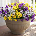 18 Pcs Artificial Fake Pansy Flowers by RowfadFlora